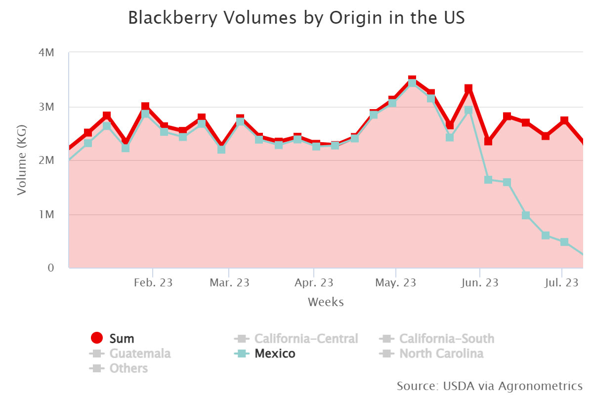 blackberry volumes by or